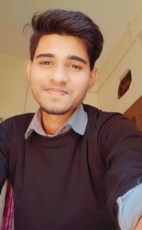 perfil
